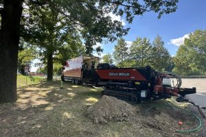 Rizene_protlaky_3 Rizene_protlaky_3